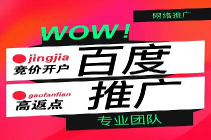 某SEM公司广告投放案例：创新广告形式的探索与实践